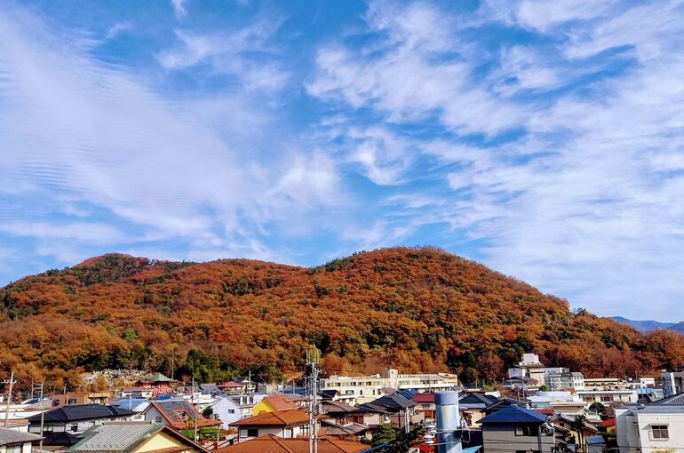 紅葉