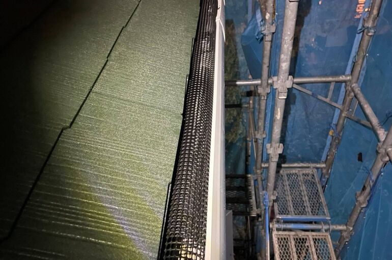 雨樋　ブログ用（落ち葉除けネット）①